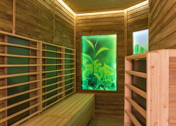 Хотел Balneo Dianamar Павел баня